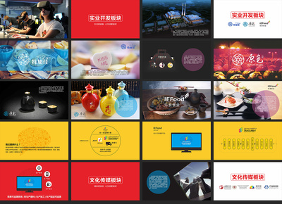 世界五百强级企业宣传PPT 平面设计与版式布局的视觉战略