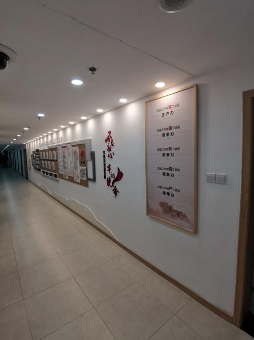 南京伴渡文化传媒 以文化为舟，伴你渡星河