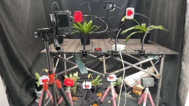这一案例体现了延时摄影在科研实验与文化传媒领域的双重价值:长期